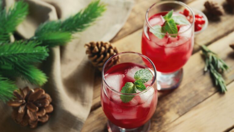 12 Days of Holiday Wine Cocktail Recipes – Cranberry Wine Spritzer