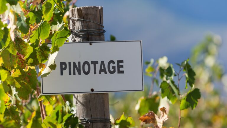 South Africa’s Signature Grape