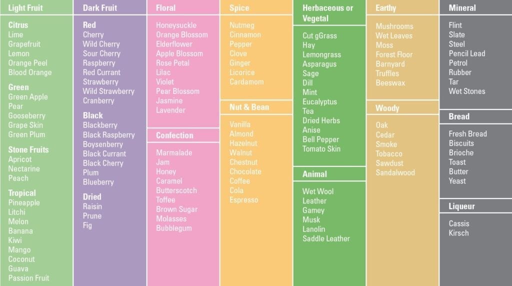 How To Taste Wine Like A Pro Wine 365