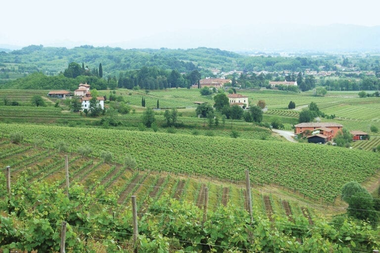 Pighin Collio estate and vineyards