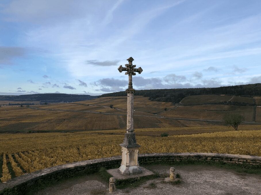 Clos de la Croix de Pierre, walled vineyard, Louis Jadot