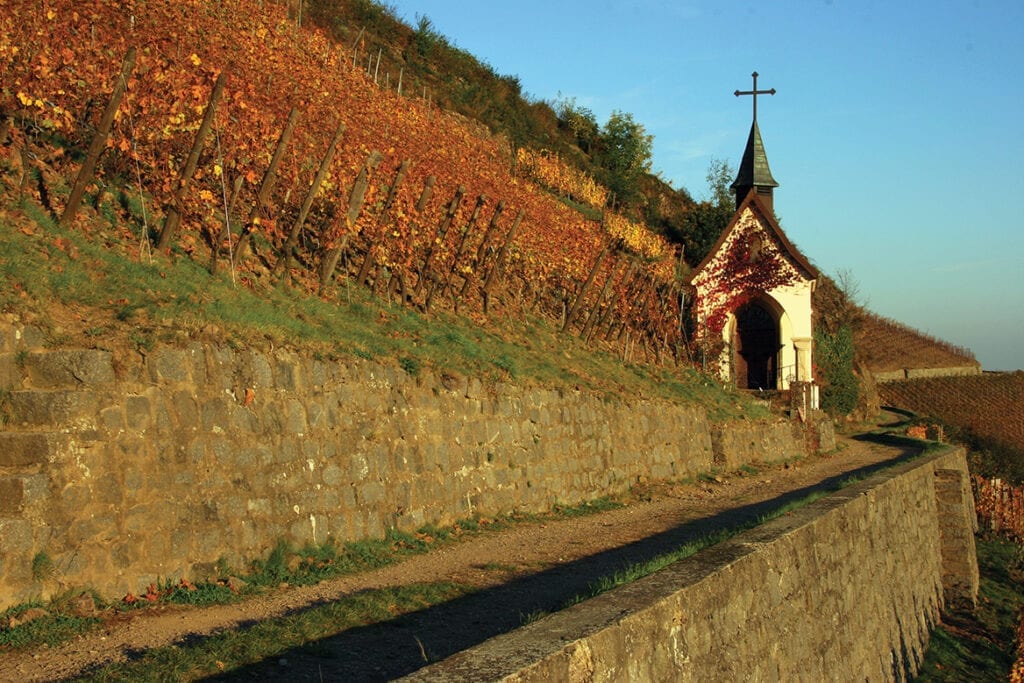 Steep Rangen de Thann vineyards in Alsace, Domaine Zind-Humbrecht winery