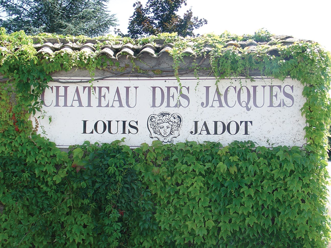 Chateau Des Jacques, Jadot