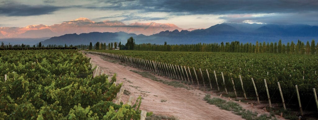 Bodega Norton vineyards, Mendoza, Argentina