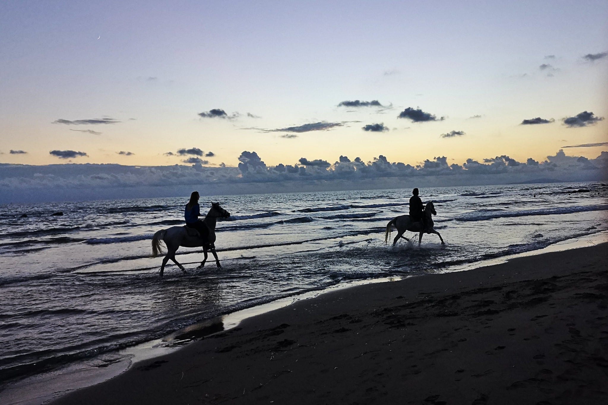Maremma, Italy, horses, beach