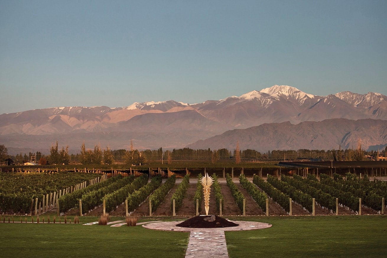 Norton vineyards, Argentina
