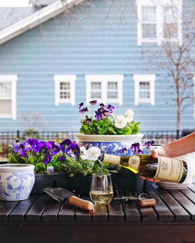 Pouring Chardonnay wine next to gardening tools, flowers