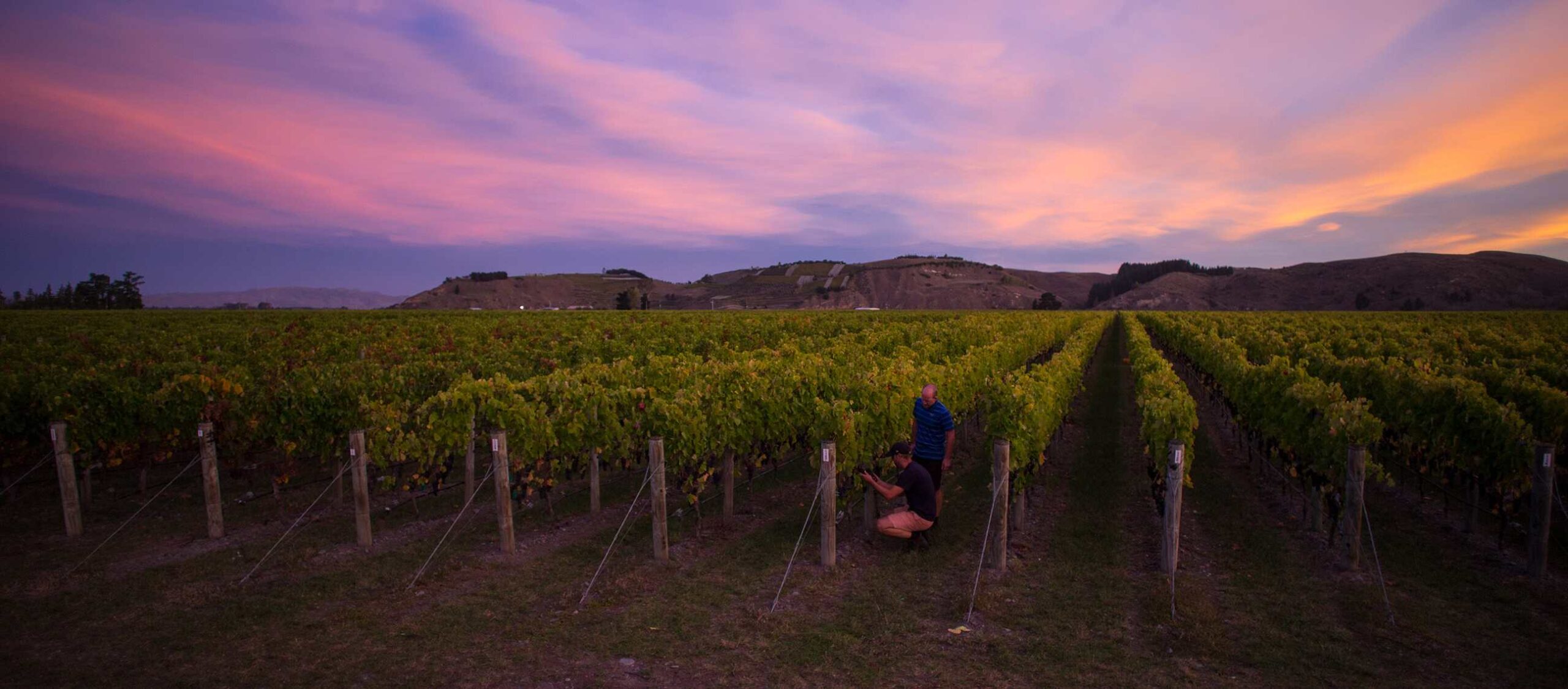 Craggy Range Winery Sunset New Zealand