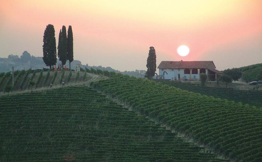 Michele Chiarlo winery and vineyards in Piedmont Italy