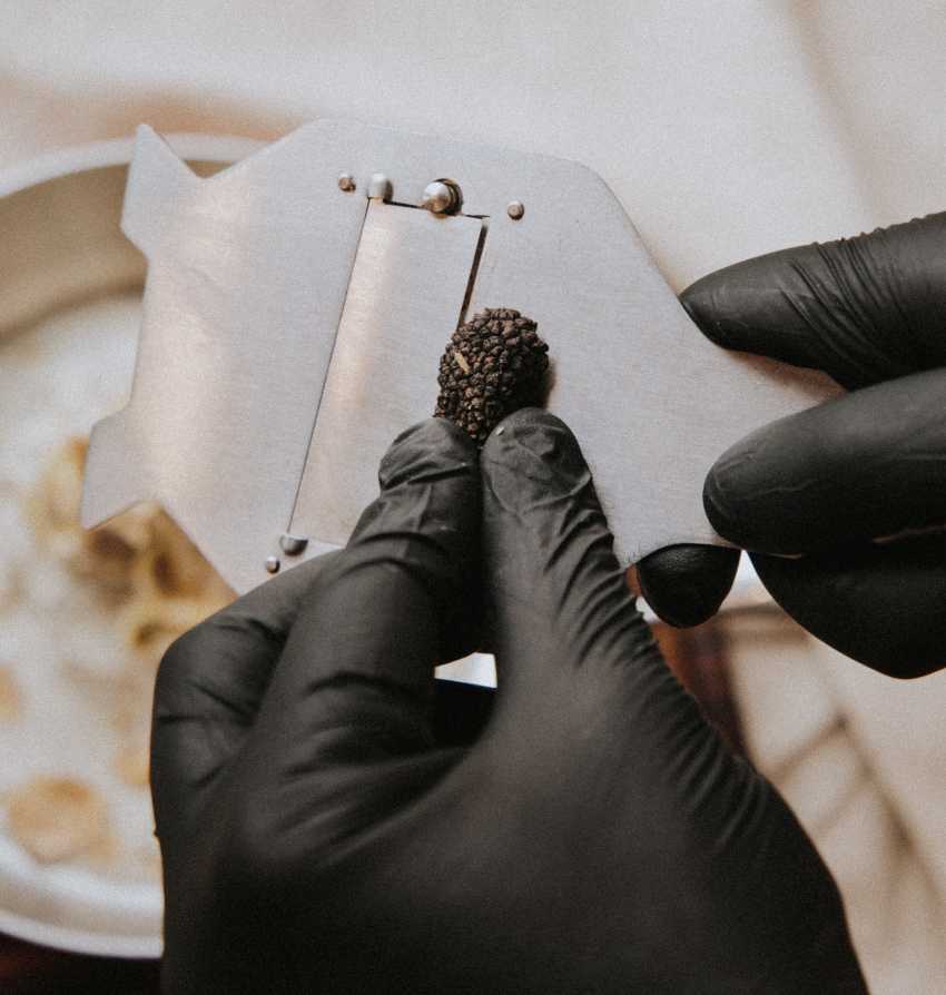 Black truffle being shaved