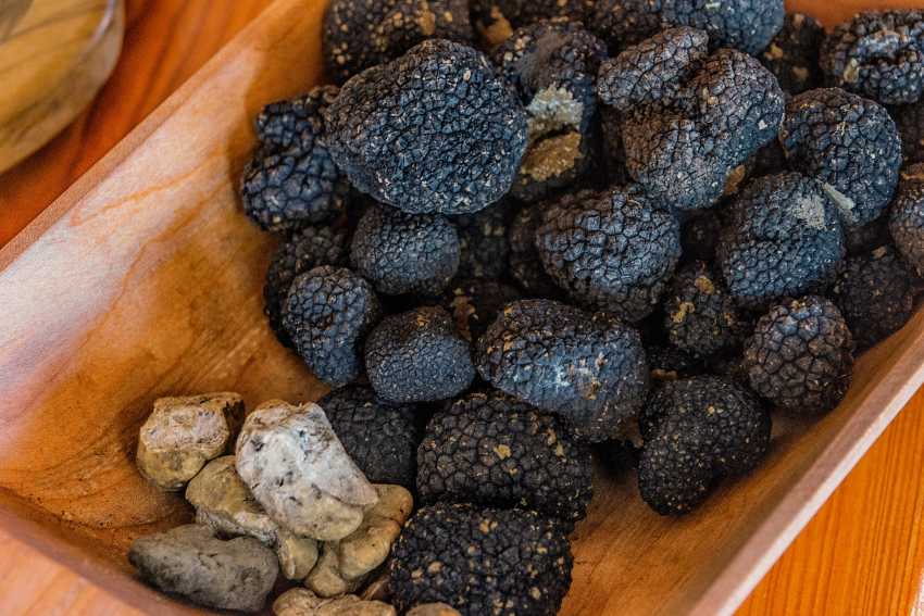 Box of white and black truffles