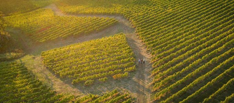 Résonance vineyards in Willamette Valley, Oregon